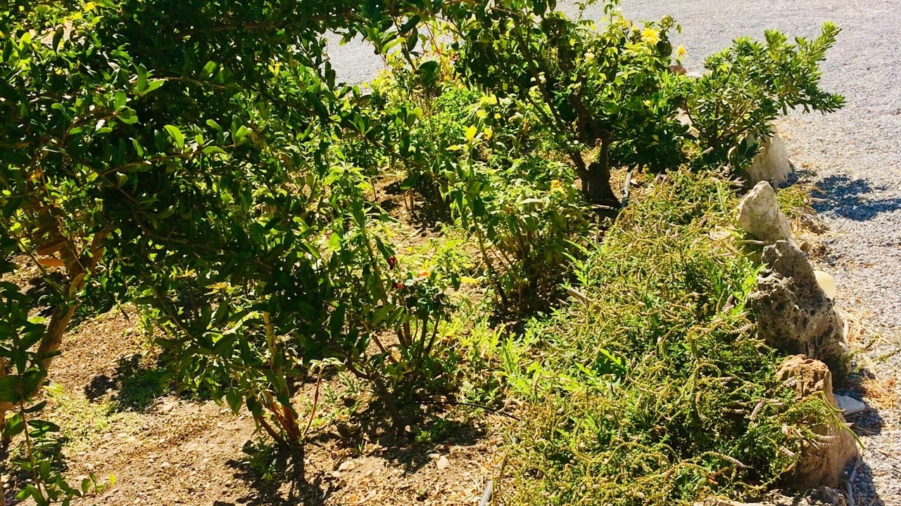 Photo of Others in Potokaki