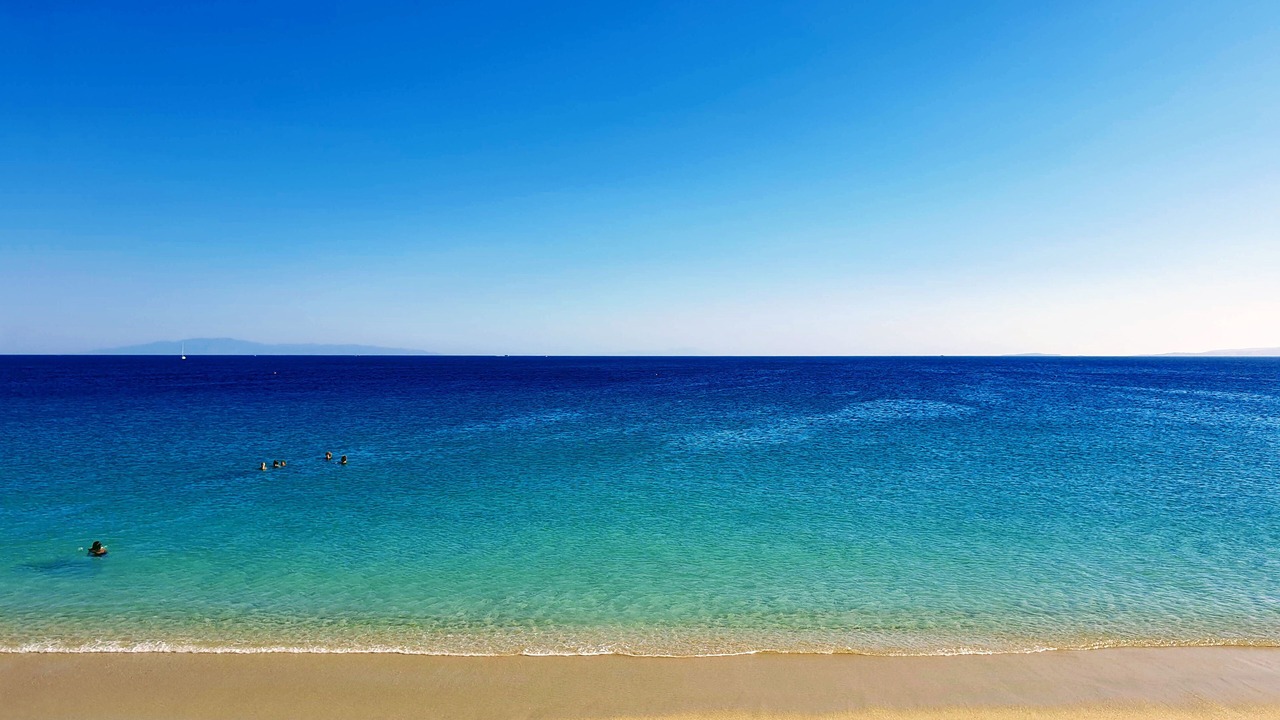 Photo of Others in Stelida