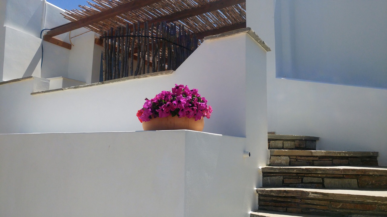 Photo of Outdoor in Stelida