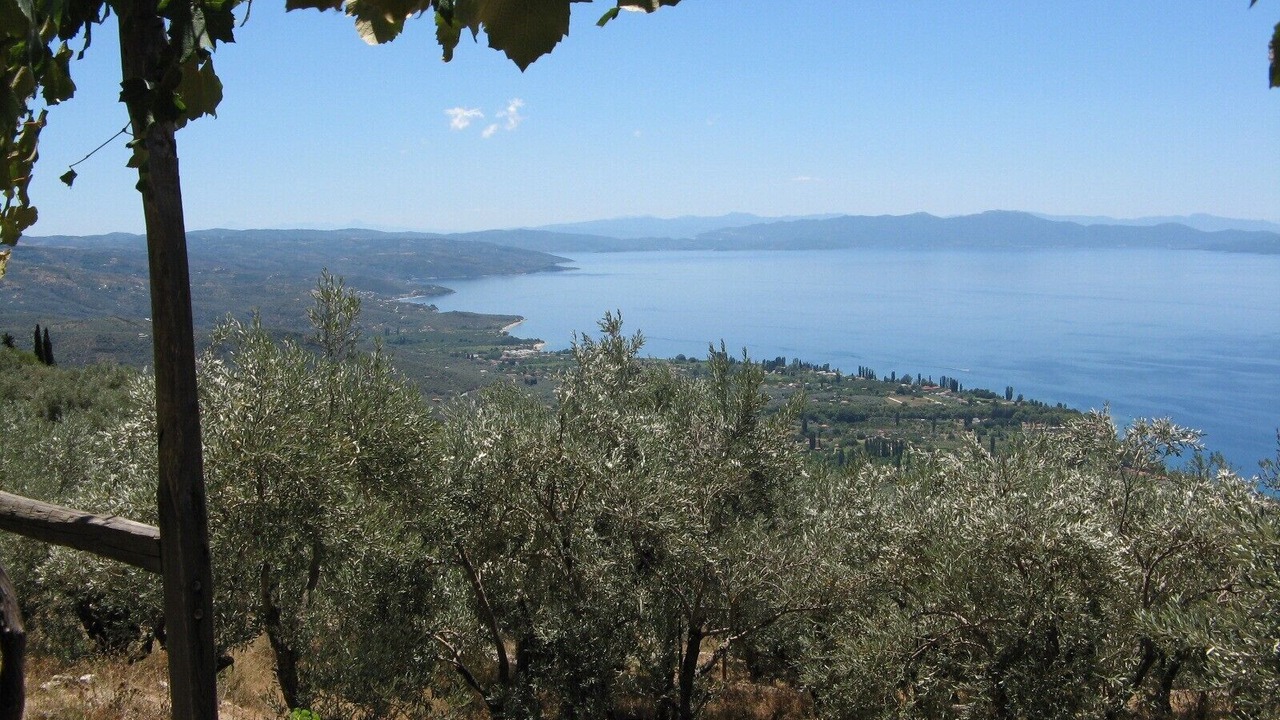Photo of Others in South Pelion