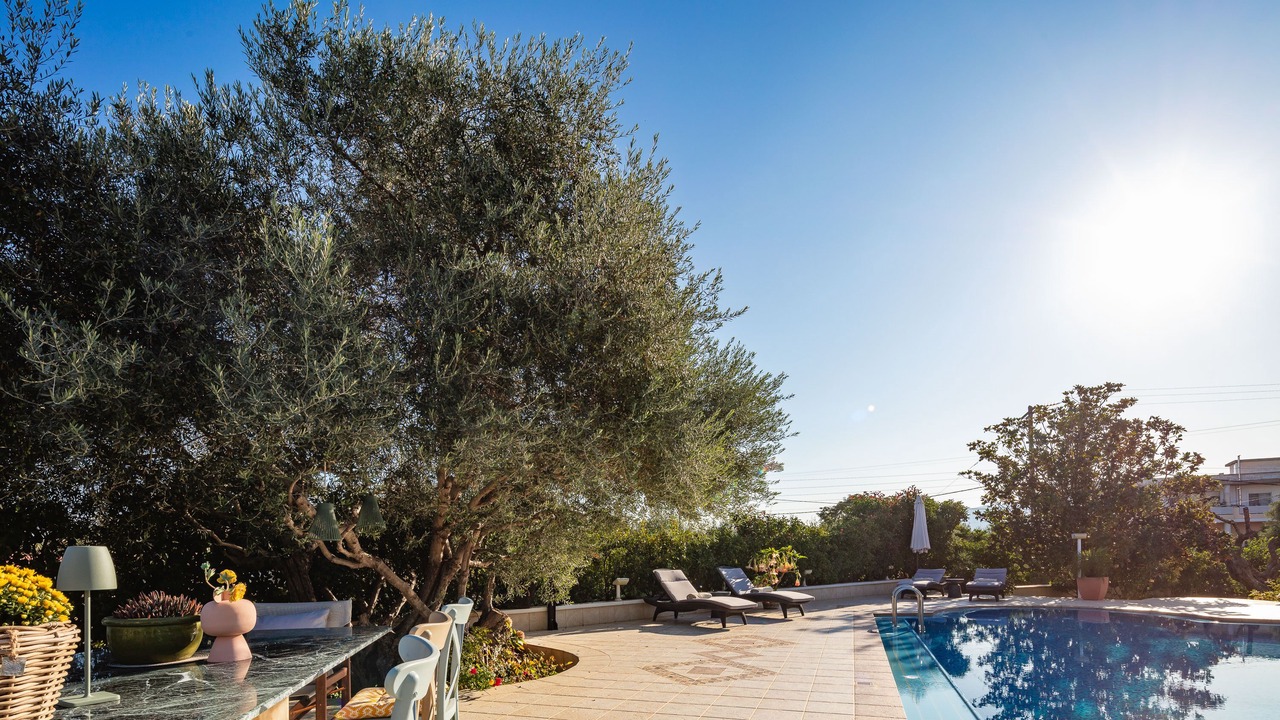 Photo of Outdoor in Perivolia