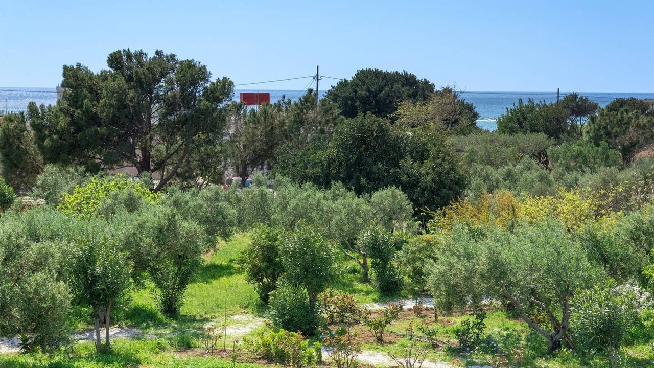 Photo of Outdoor in Frangokastellon
