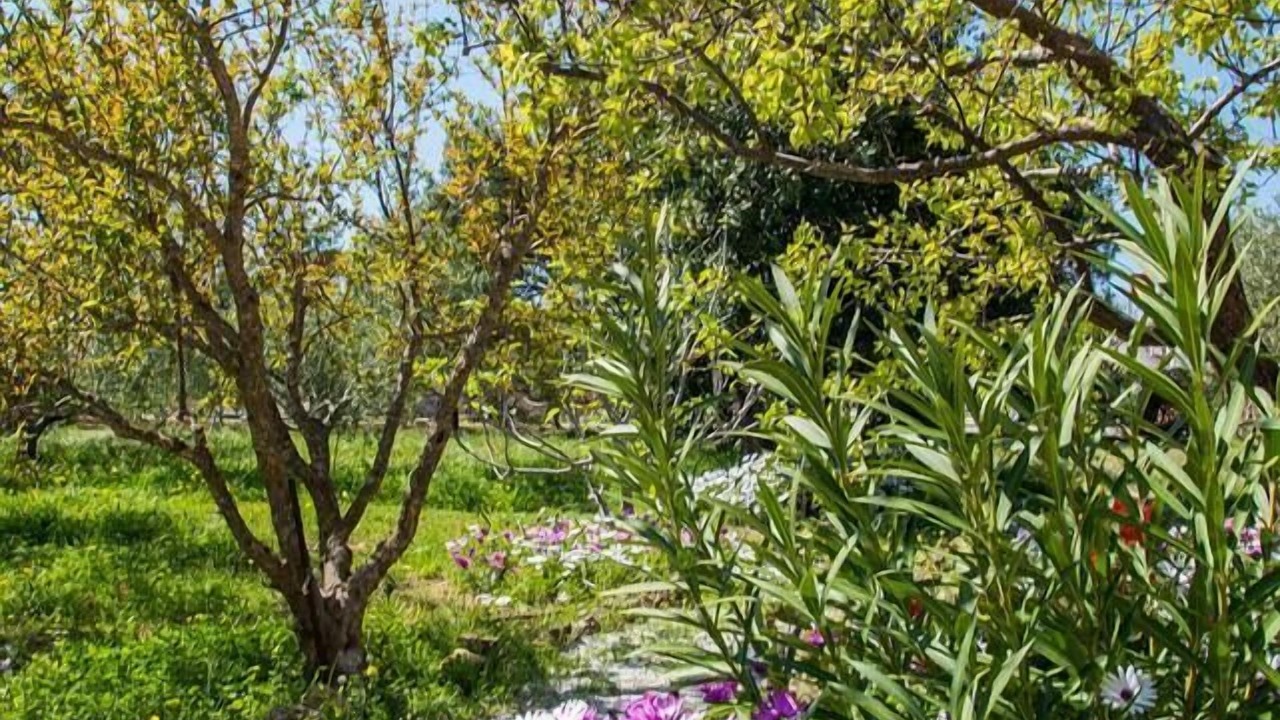 Photo of Outdoor in Frangokastellon