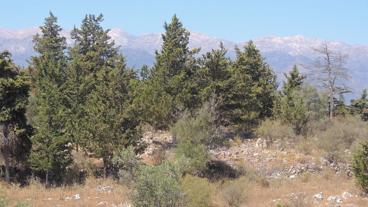 Photo of Others in Apokoronas