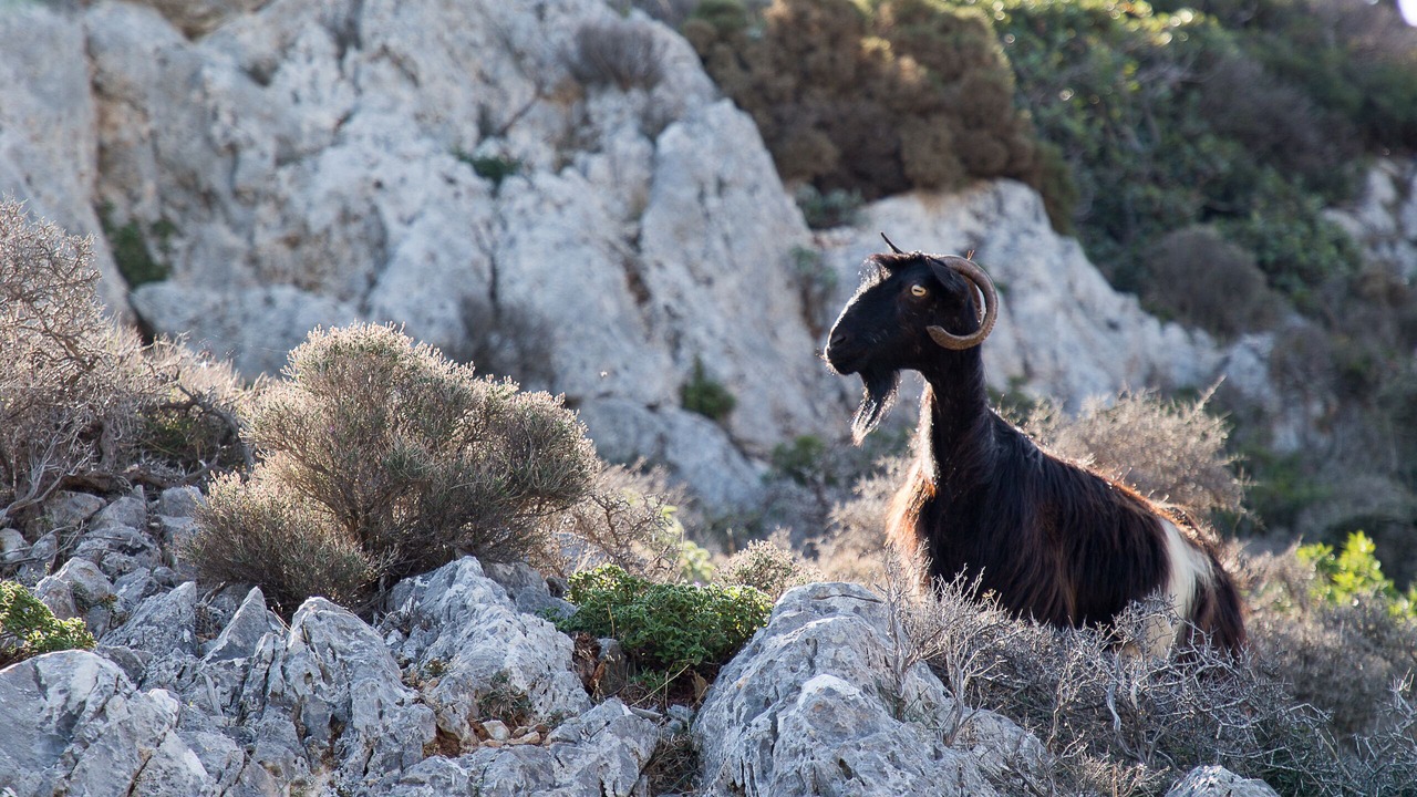 Photo of Outdoor in Apokoronas