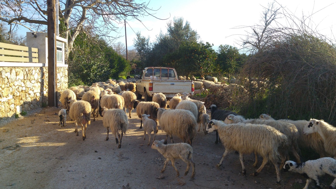 Photo of Outdoor in Apokoronas