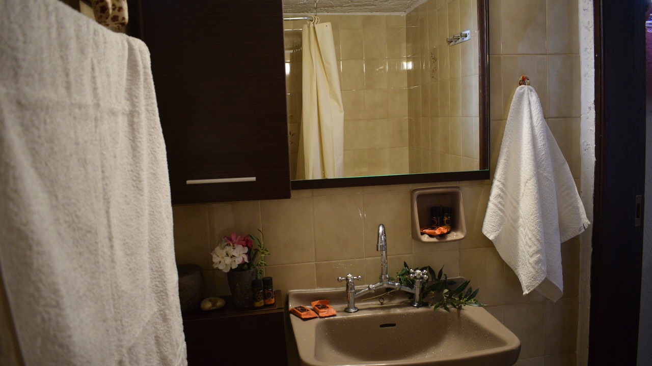 Photo of Bathroom in Megala Chorafia