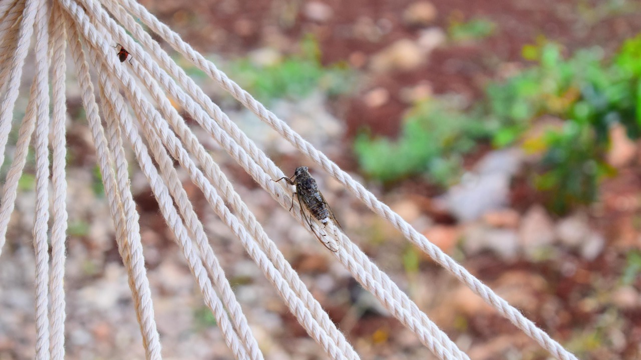 Photo of Outdoor in Megala Chorafia