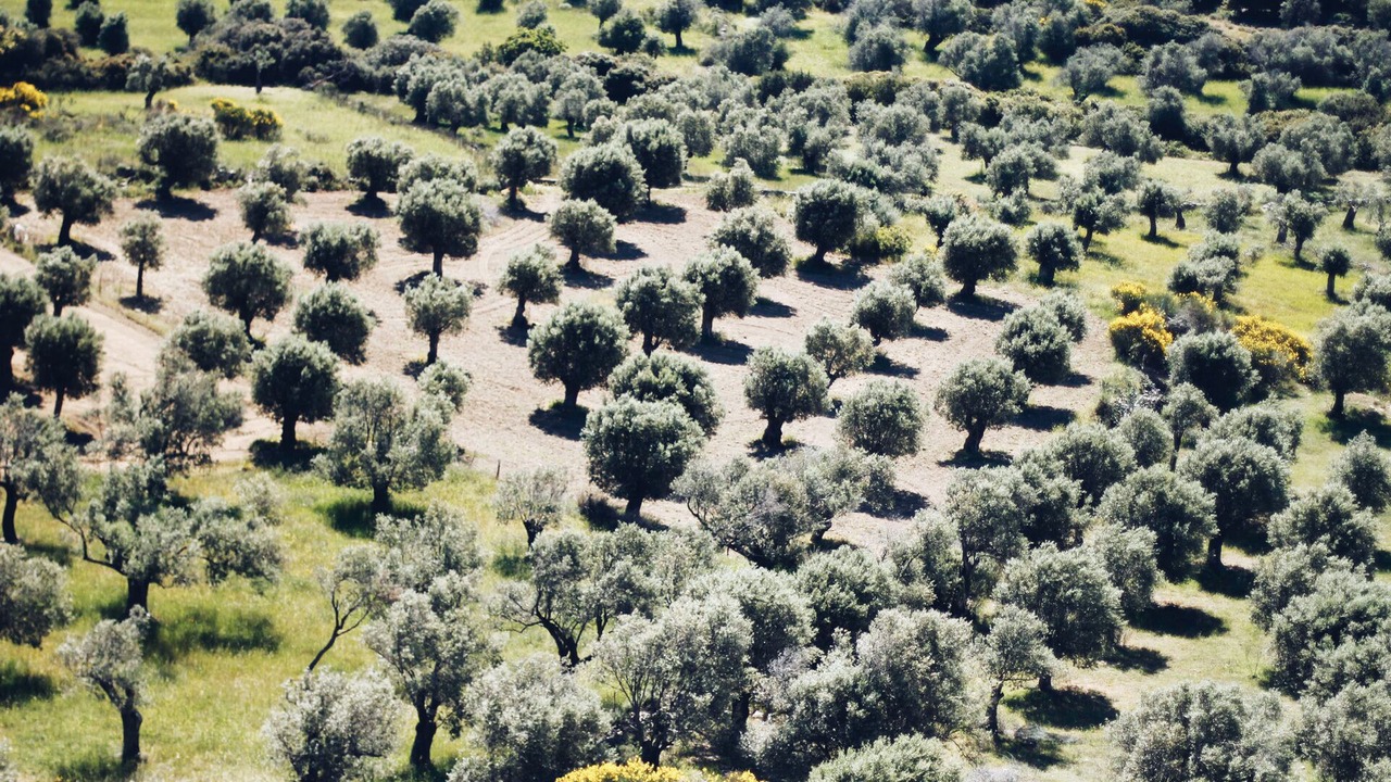 Photo of Outdoor in Naxos