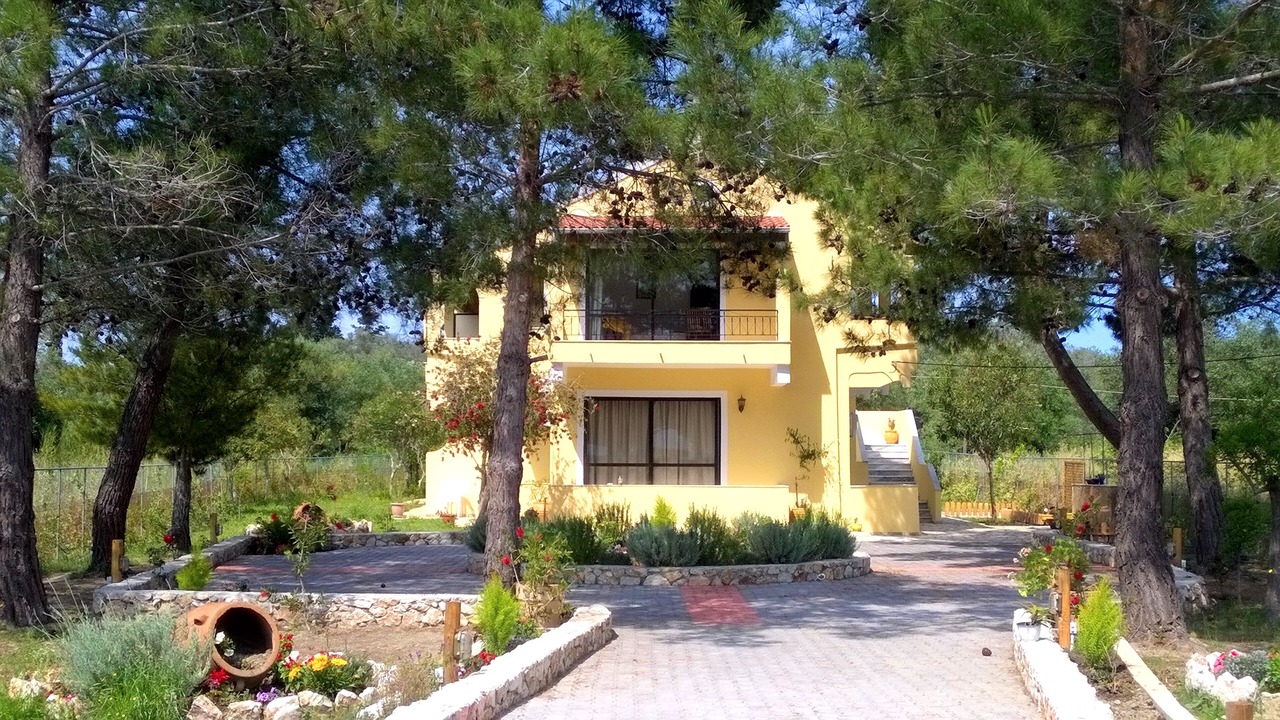 Photo of Outdoor in Melikia