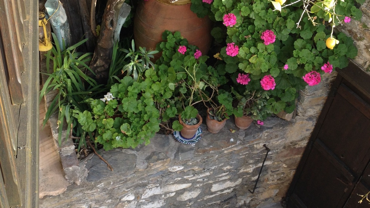 Photo of Outdoor in Skopelos