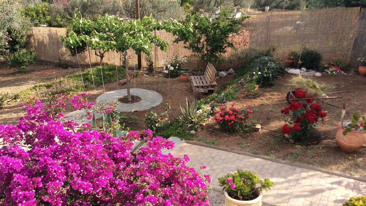 Photo of Outdoor in Ermionida