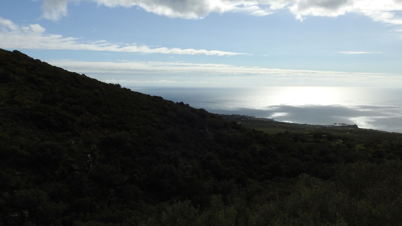 Photo of Outdoor in Livadia
