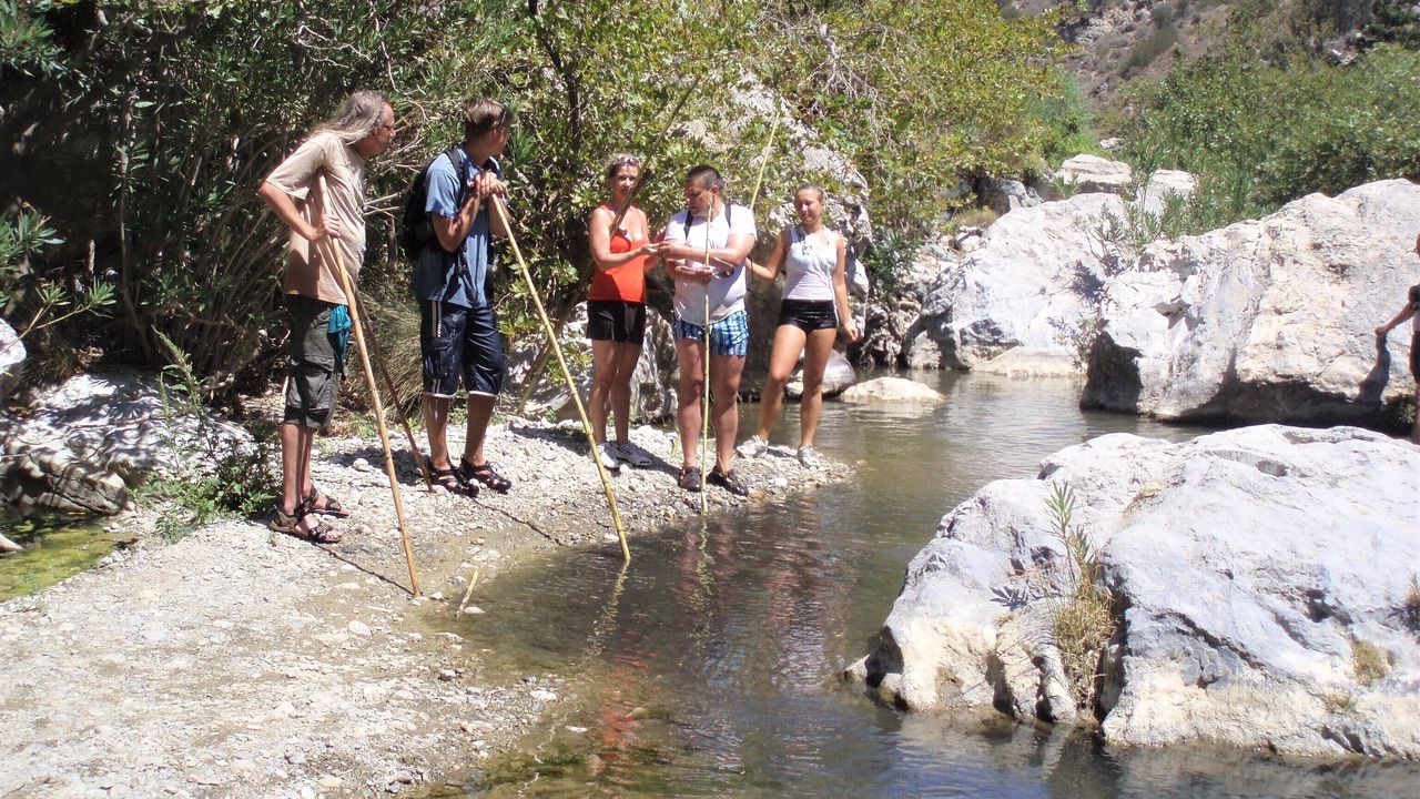 Photo of Others in Yianniou