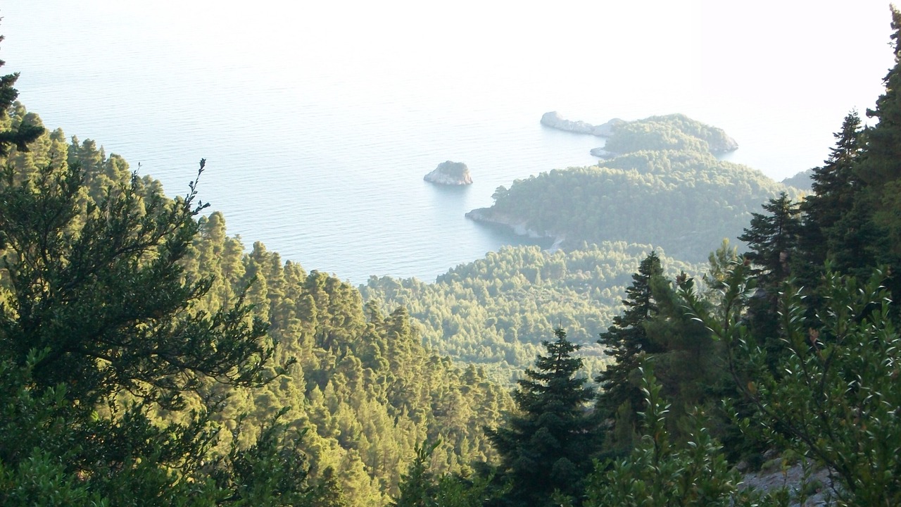 Photo of Outdoor in Mantoudi-Limni-Agia Anna