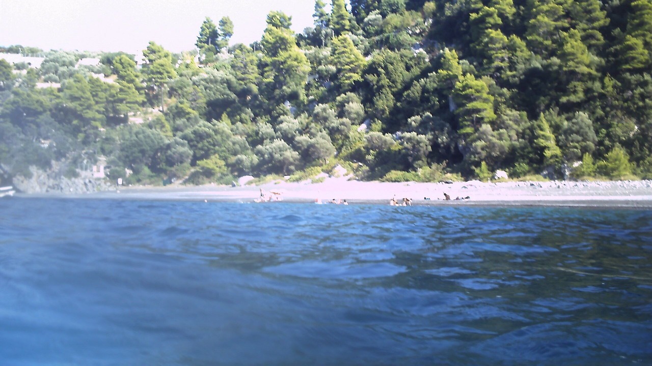 Photo of Others in Mantoudi-Limni-Agia Anna