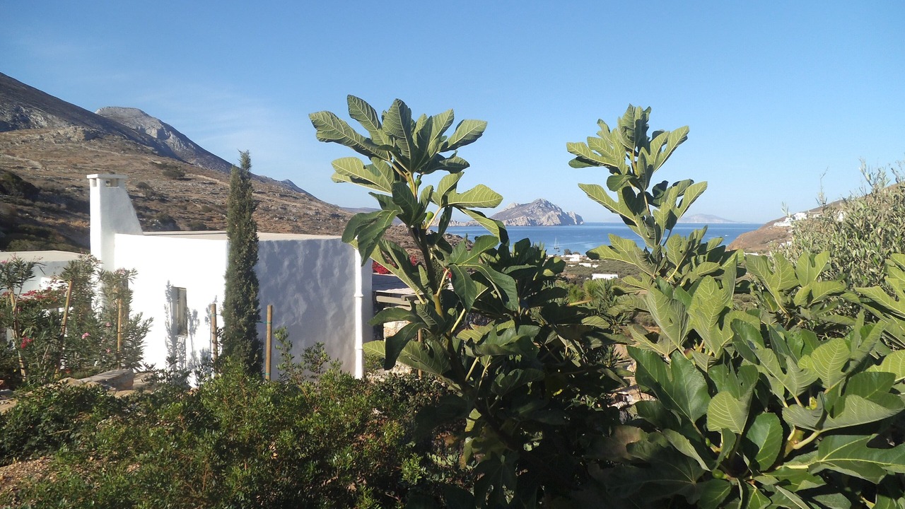 Photo of Outdoor in Aegiali