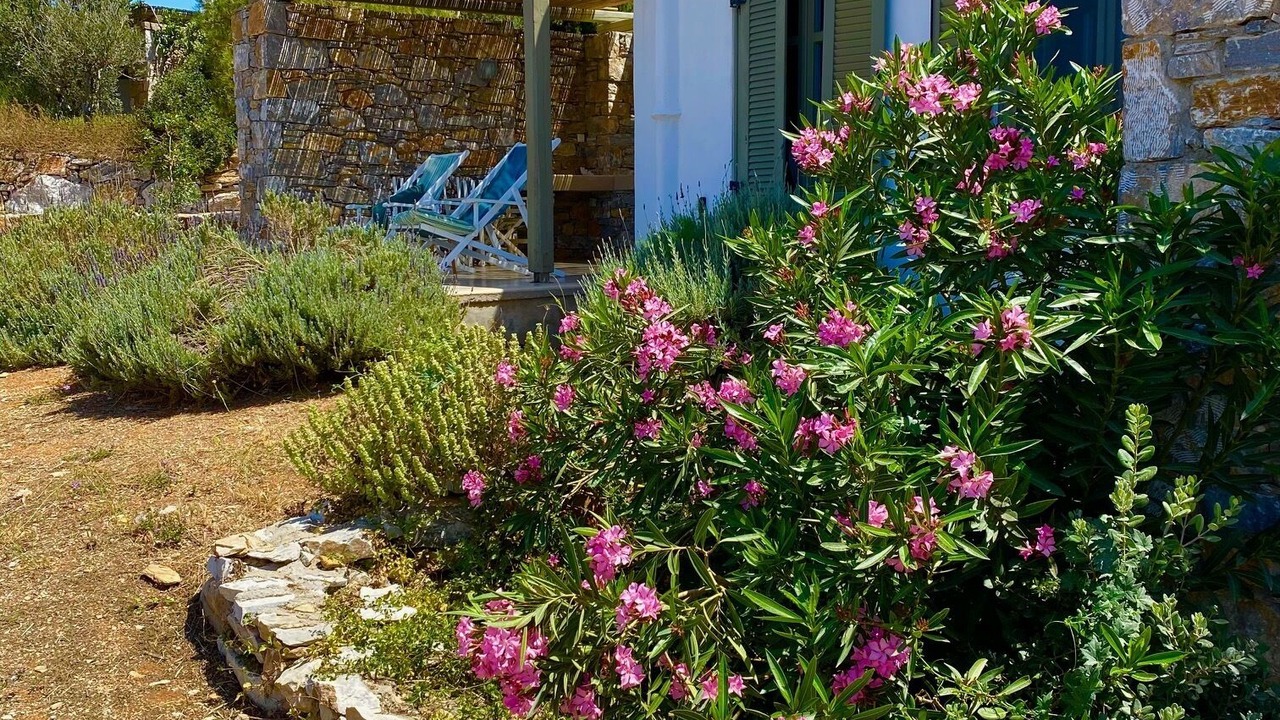 Photo of Outdoor in Aegiali