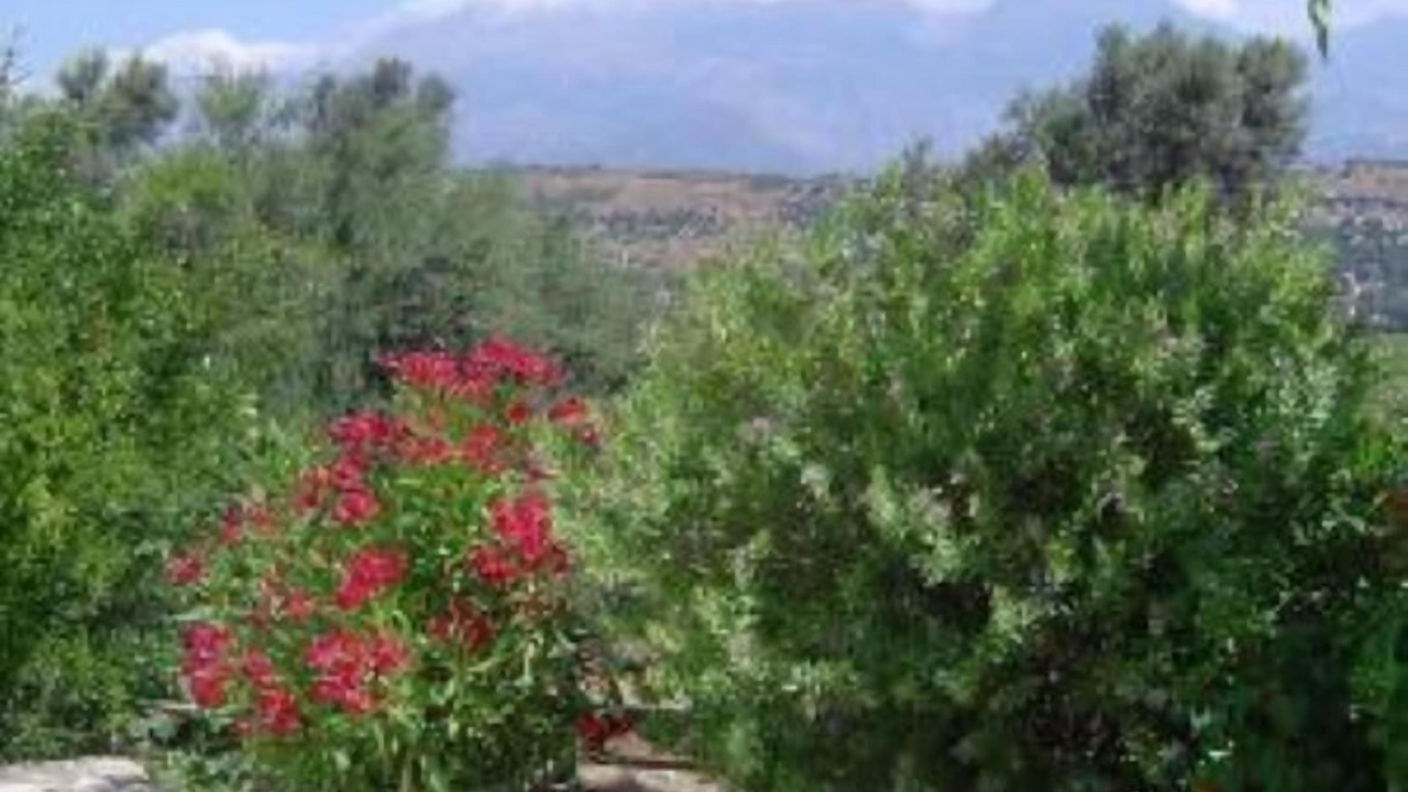 Photo of Others in Kamilari