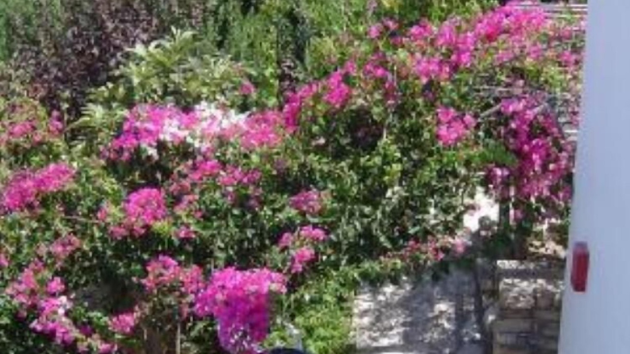 Photo of Patio Balcony in Kamilari
