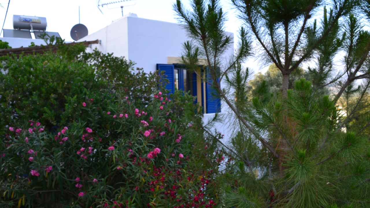 Photo of Outdoor in Kamilari
