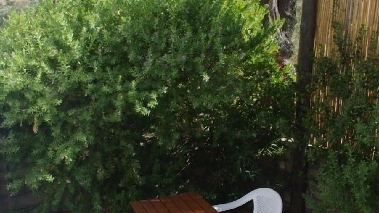 Photo of Outdoor in Kamilari