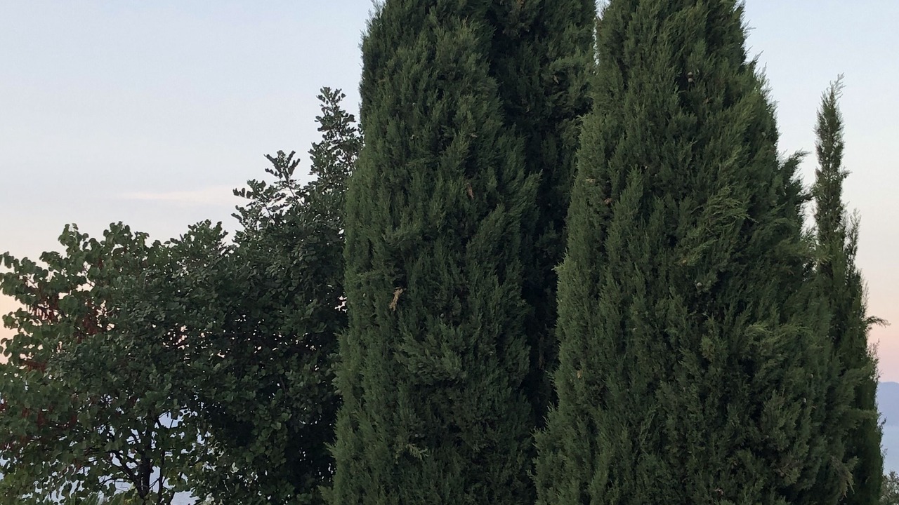 Photo of Outdoor in Theologos