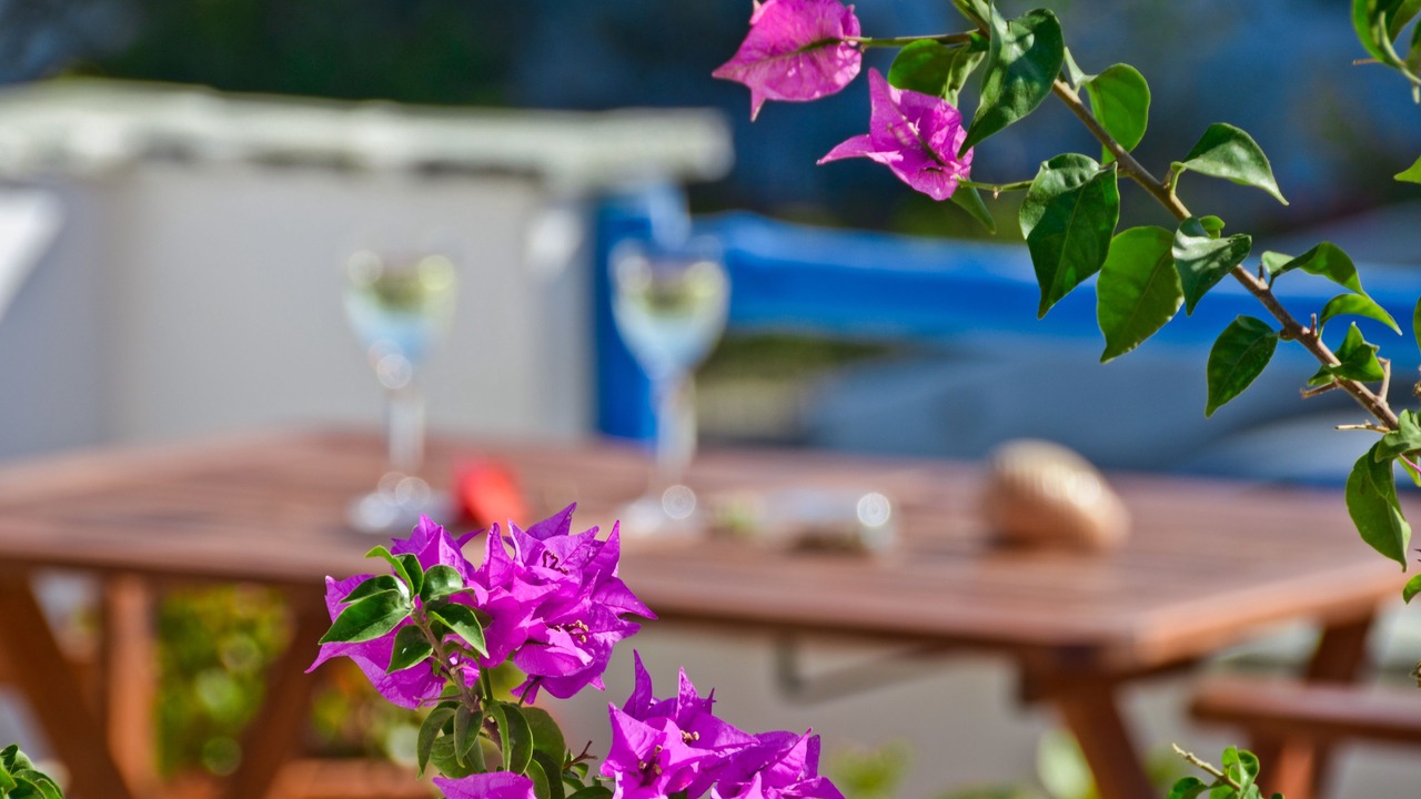 Photo of Patio Balcony in Agia Anna