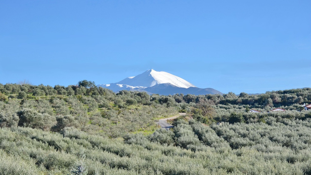 Photo of Others in Viranepiskopi