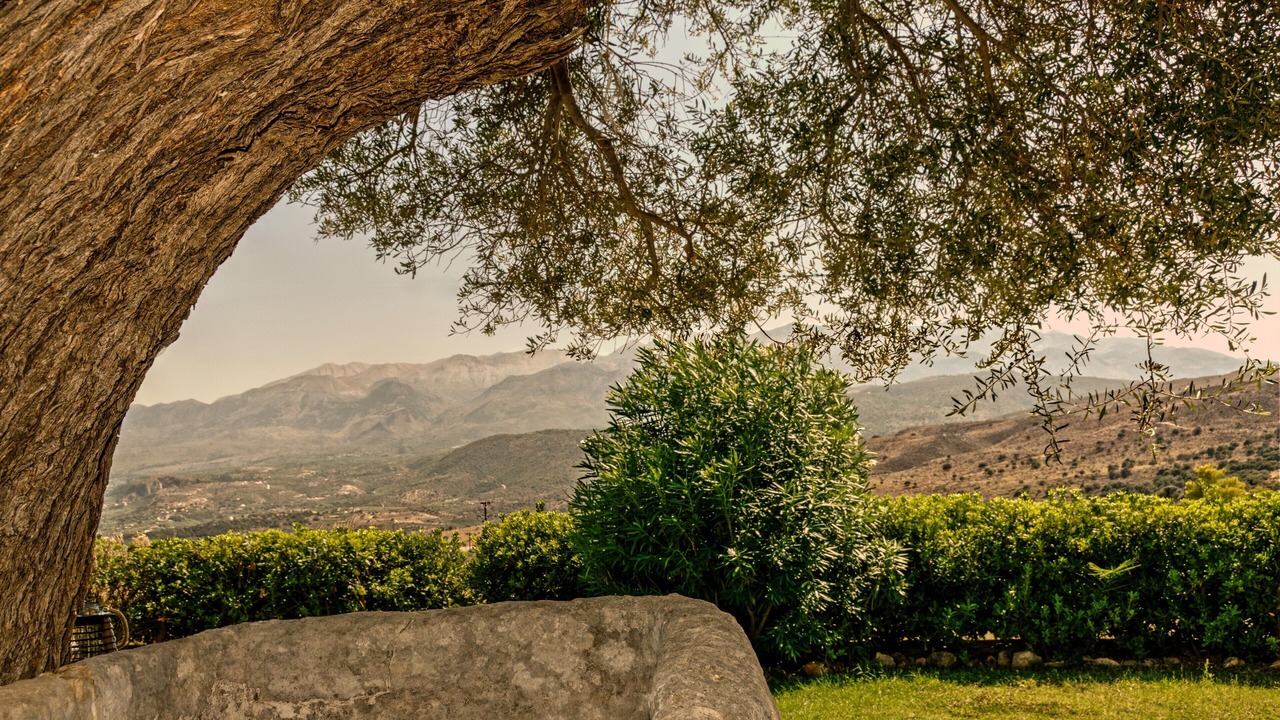 Photo of Outdoor in Megala Chorafia