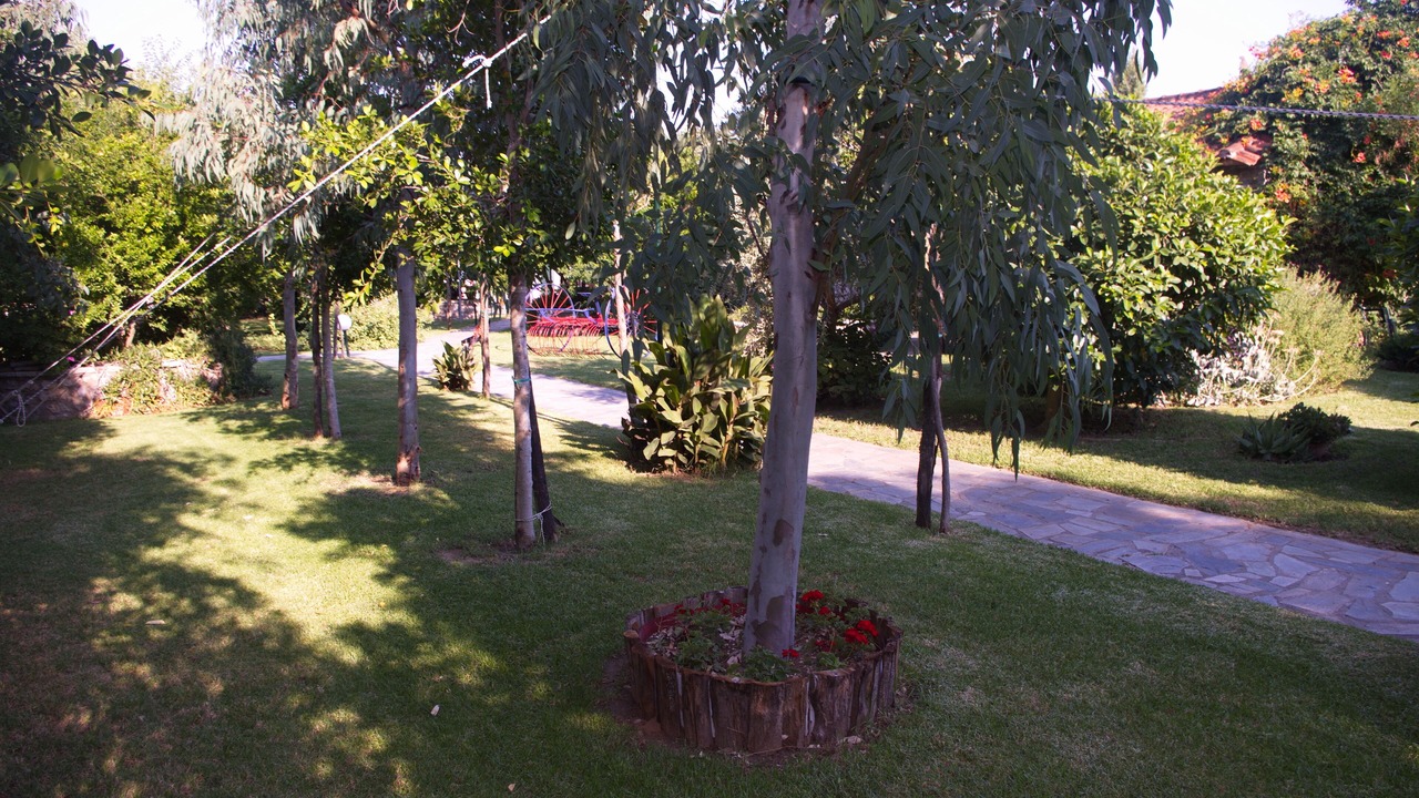 Photo of Outdoor in Verilaiika