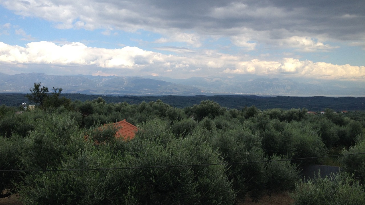Photo of Others in Messini
