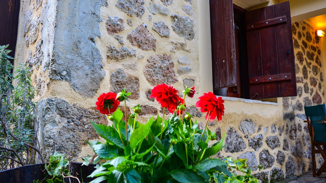 Photo of Outdoor in Ano Trikala