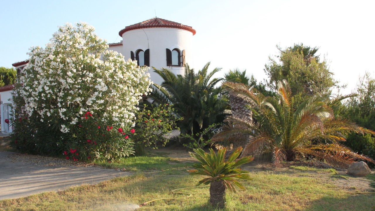 Photo of Others in Messenia Region