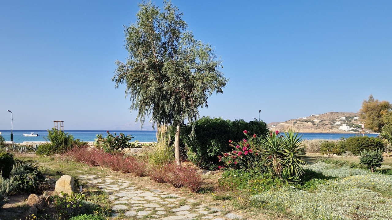 Photo of Outdoor in Ios