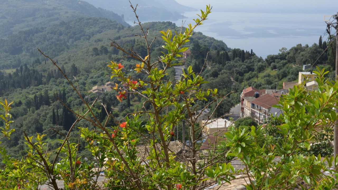 Photo of Outdoor in Pelekas
