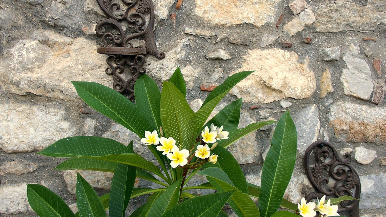 Photo of Outdoor in Megalo Chorio