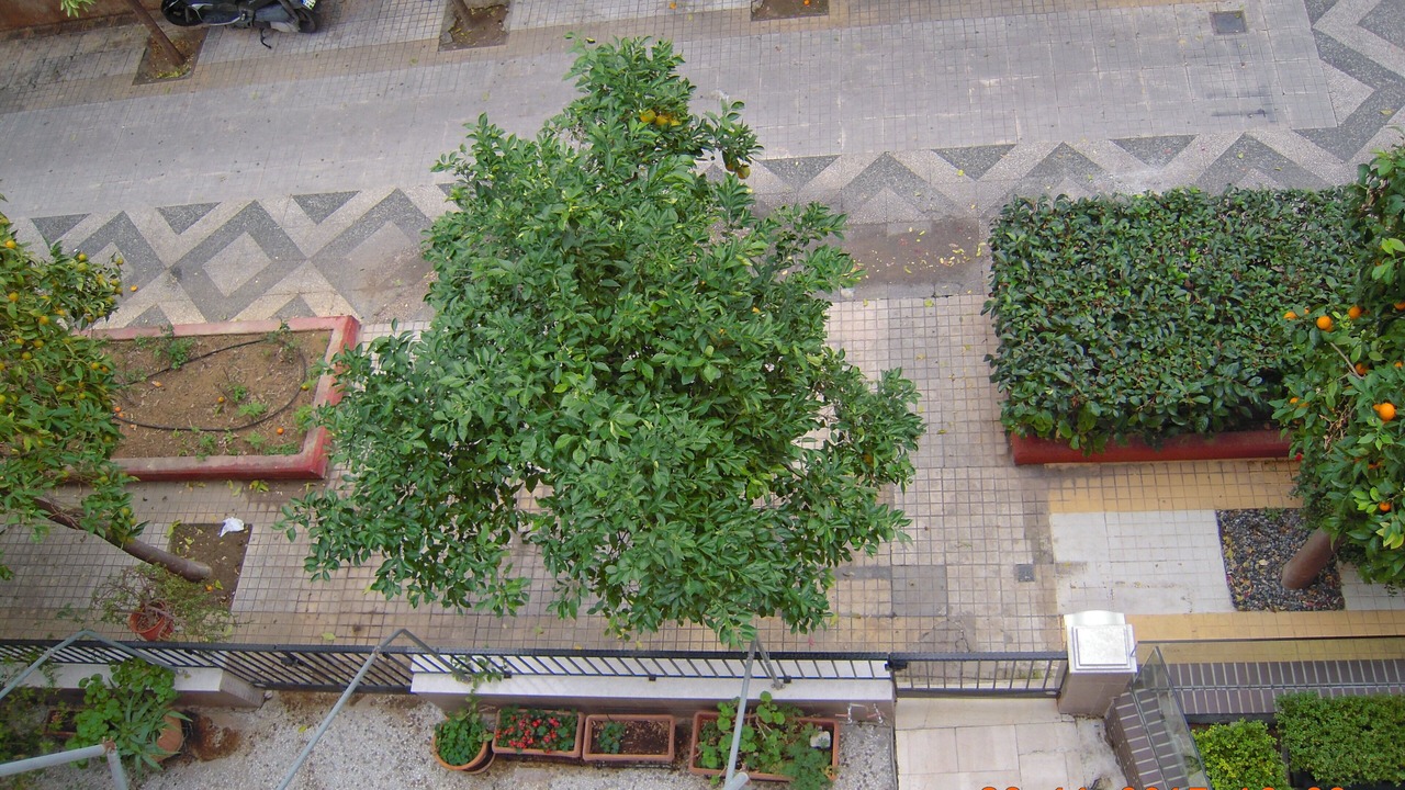 Photo of Patio Balcony in Kolokinthou