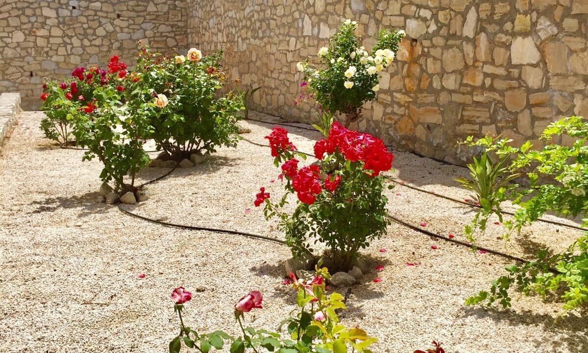 Photo of Outdoor in Almyrida