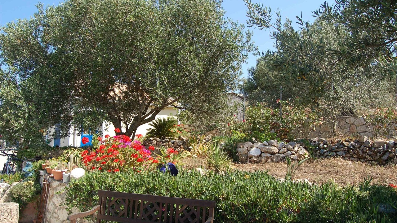 Photo of Outdoor in Tselendata