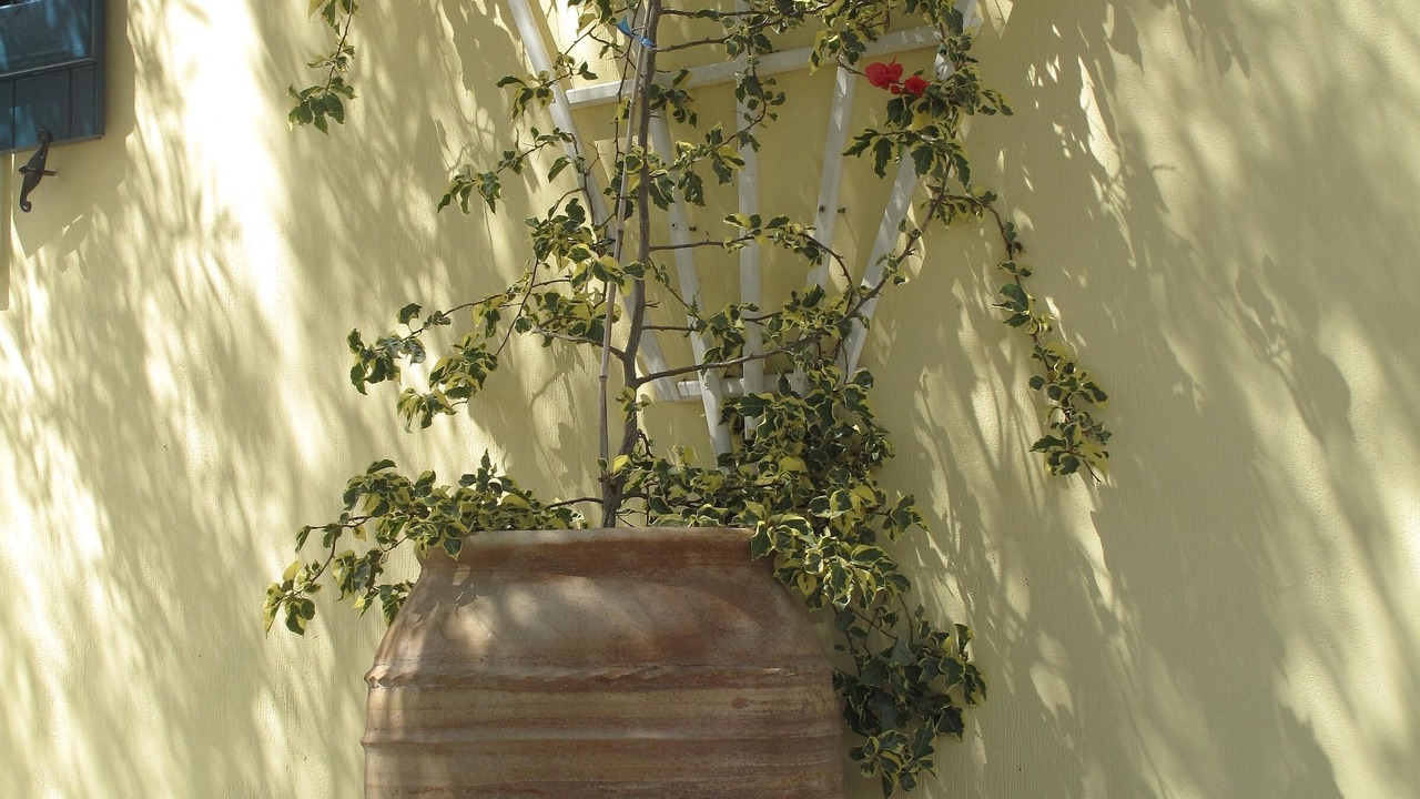 Photo of Others in Tselendata