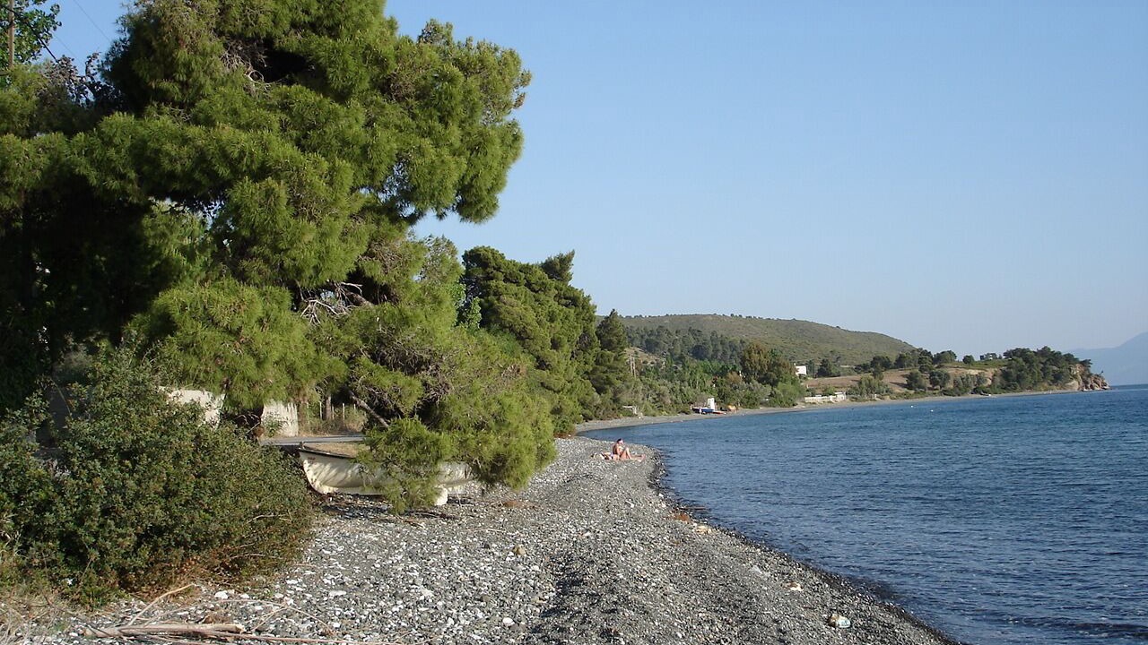 Photo of Others in Paradise Beach