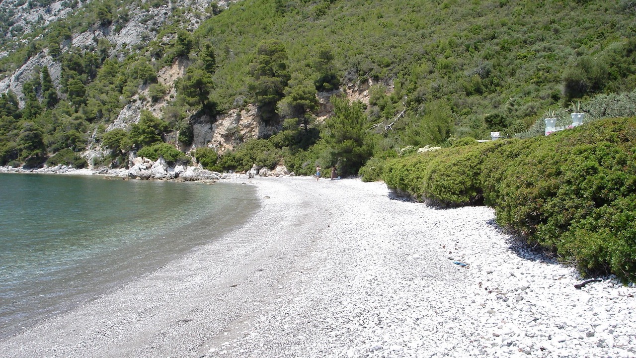Photo of Others in Paradise Beach