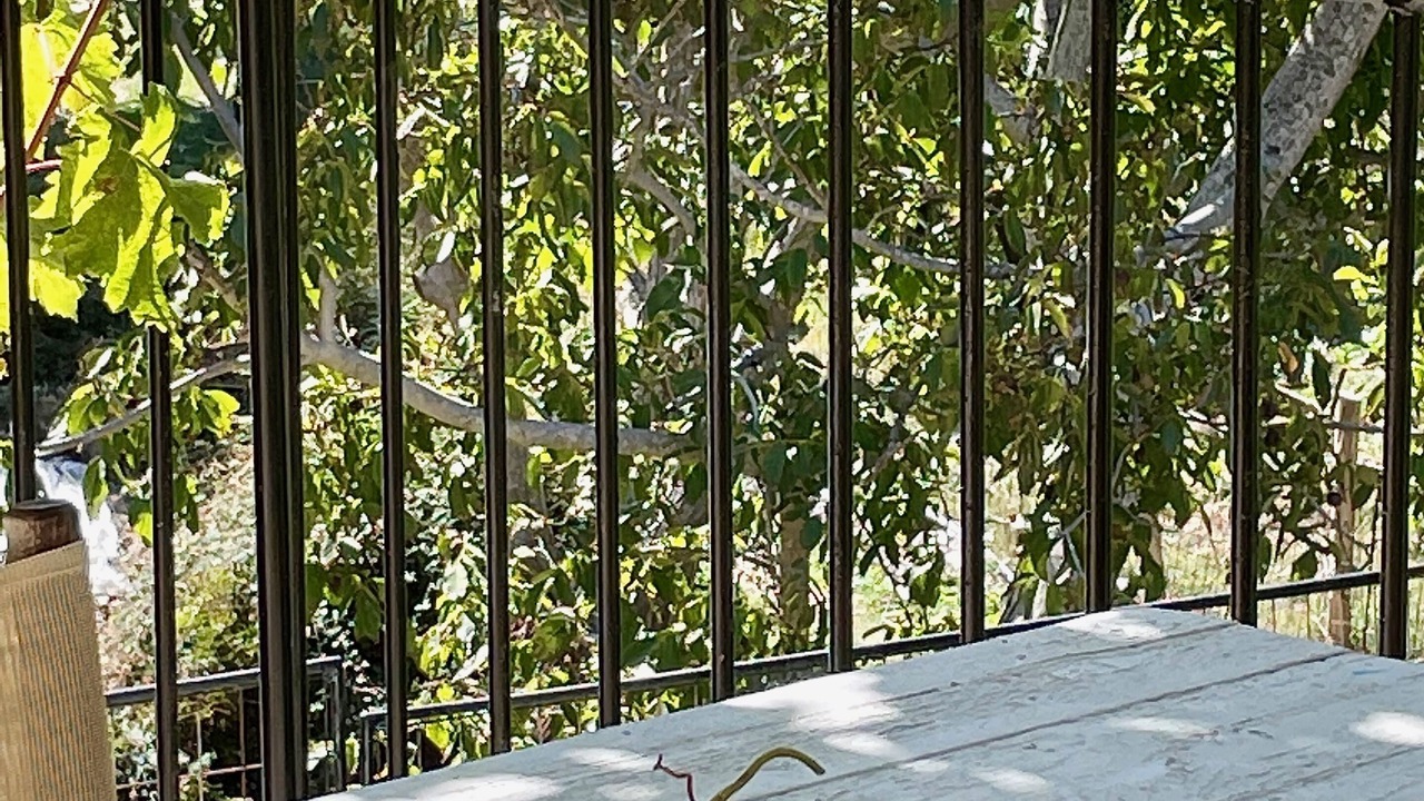 Photo of Outdoor in Mixorrouma