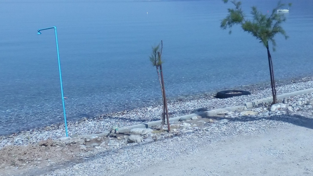 Photo of Others in Valimitika