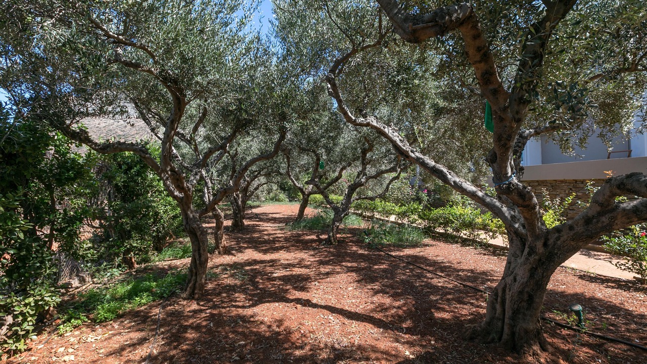 Photo of Outdoor in Stavros