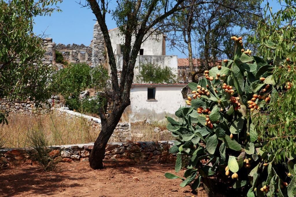 Photo of Outdoor in Kithira