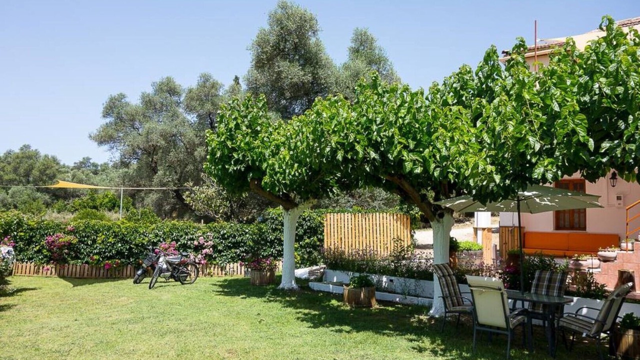 Photo of Outdoor in Dhris