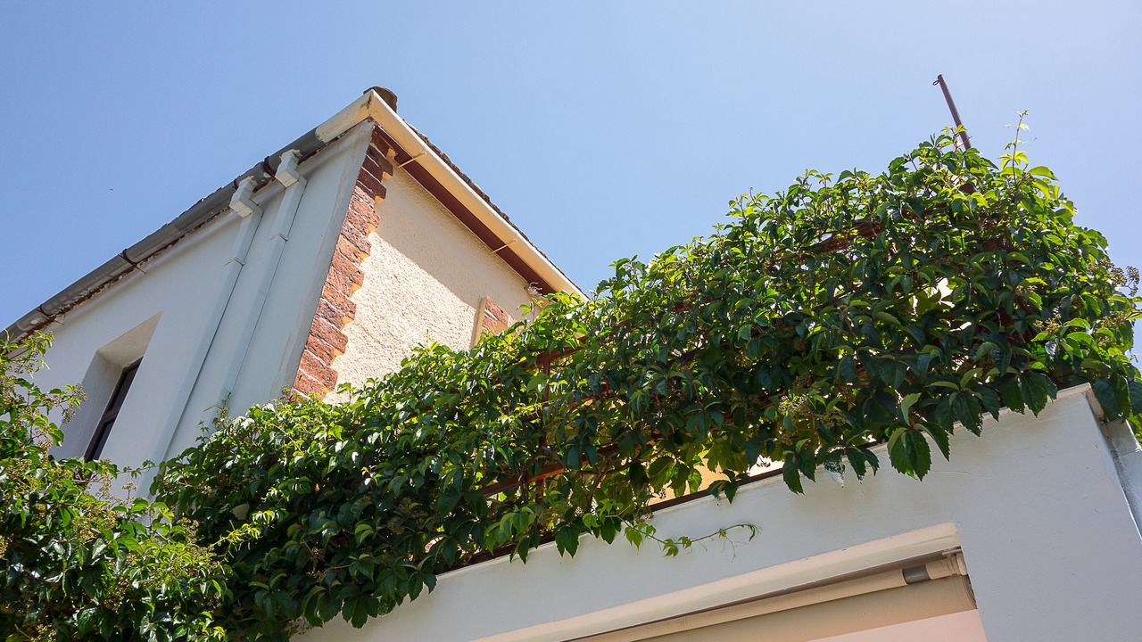 Photo of Outdoor in Dhris
