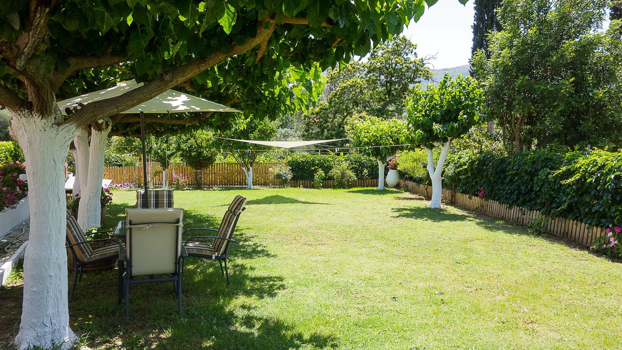 Photo of Outdoor in Dhris